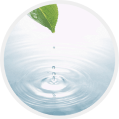 AdobeStock_10608477 AdobeStock_10608477